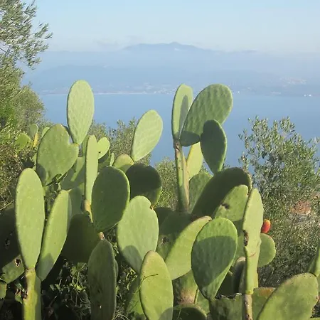 Vue Ajaccio (Corsica)